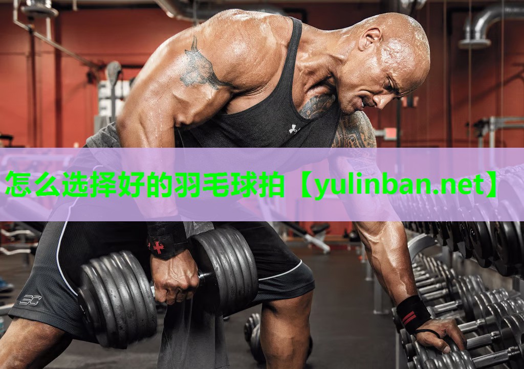 怎么选择好的羽毛球拍