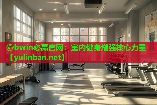 室内健身增强核心力量