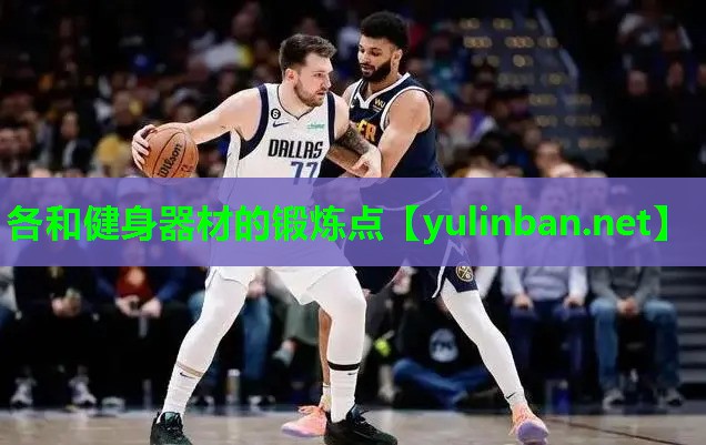 各和健身器材的锻炼点