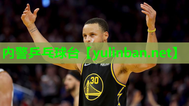 内警乒乓球台