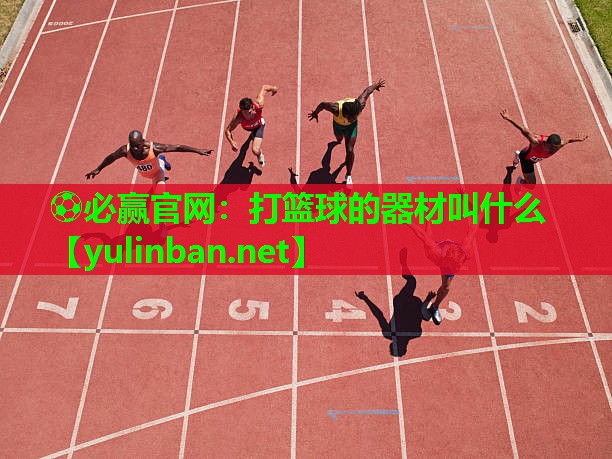 打篮球的器材叫什么