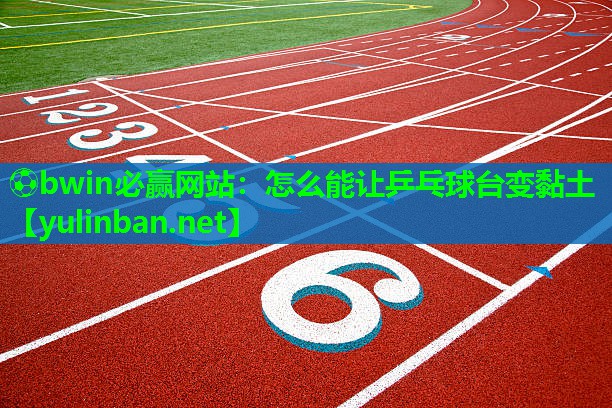 怎么能让乒乓球台变黏土