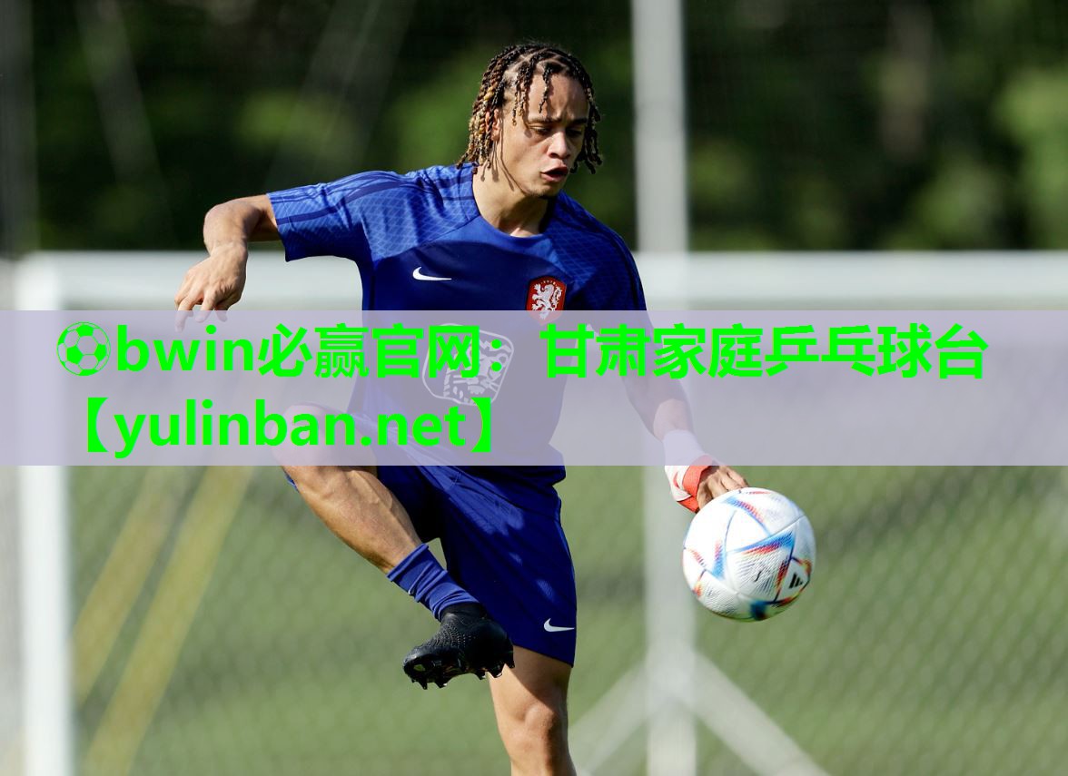甘肃家庭乒乓球台