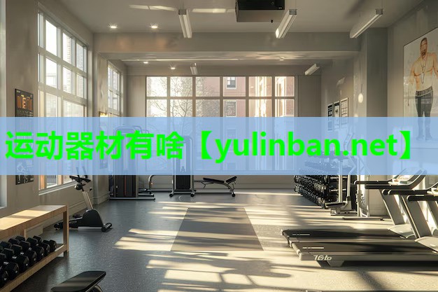 运动器材有啥