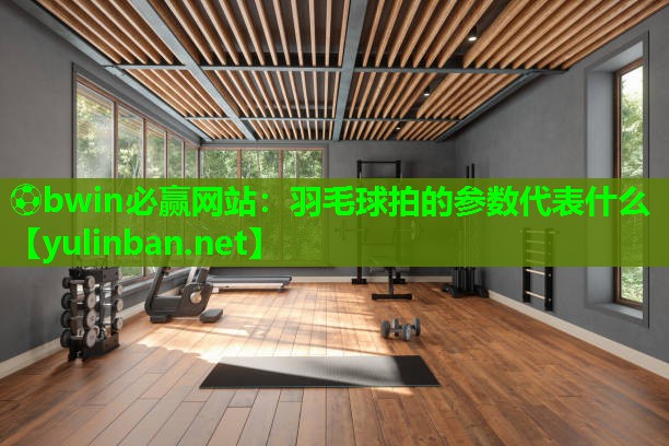 羽毛球拍的参数代表什么