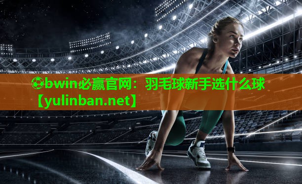 羽毛球新手选什么球