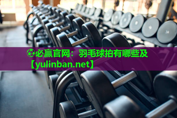 羽毛球拍有哪些及