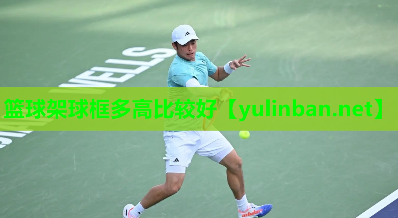 篮球架球框多高比较好