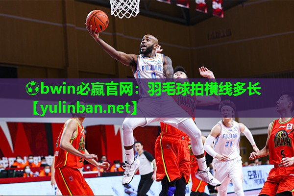 羽毛球拍横线多长